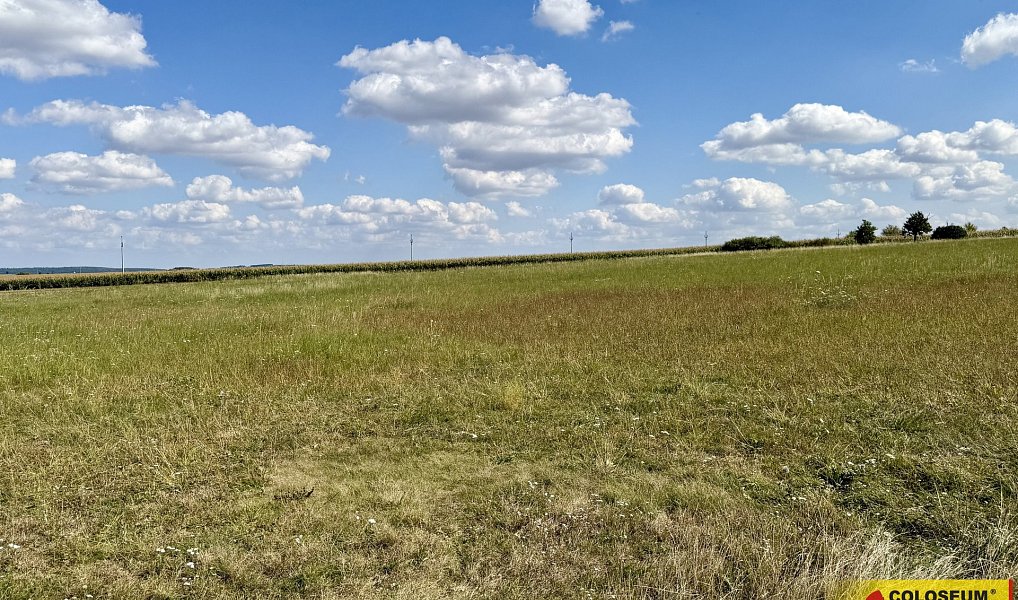 Prodej komerčního pozemku 27 908 m², Znojmo – náhled fotky 3