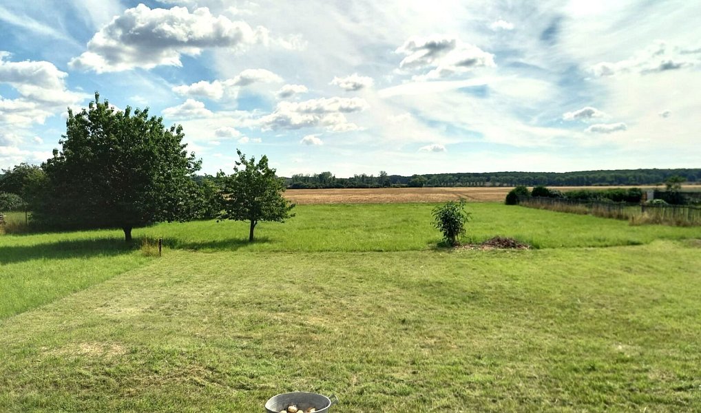 Prodej domu 80 m² s pozemkem 3 454 m², Rožďalovice – náhled fotky 10