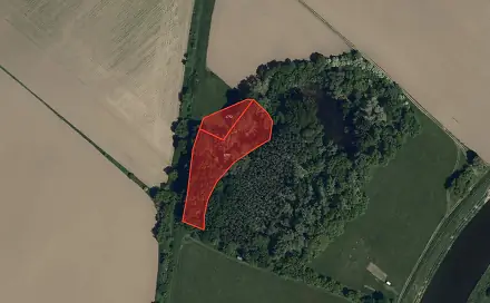 Prodej louky 6 378 m², Veselí nad Moravou, okres Hodonín