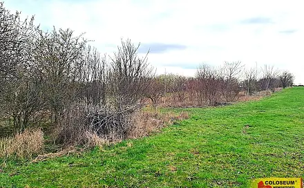 Prodej zahrady 863 m², Brno