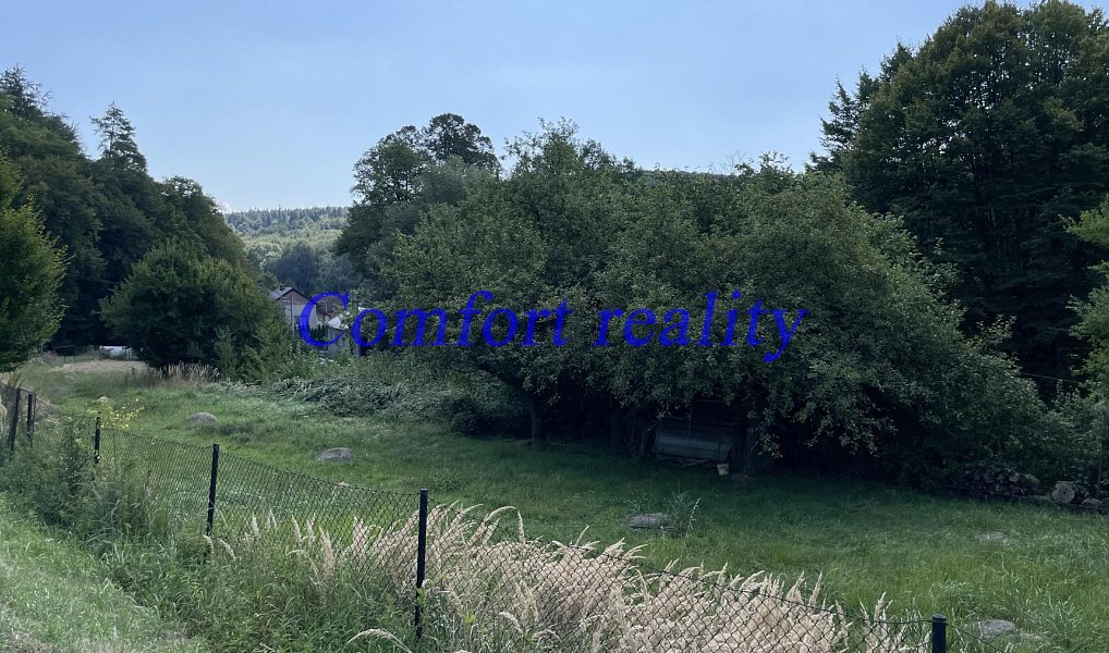 Prodej zahrady 2 405 m², Horní Lhota – náhled fotky 6