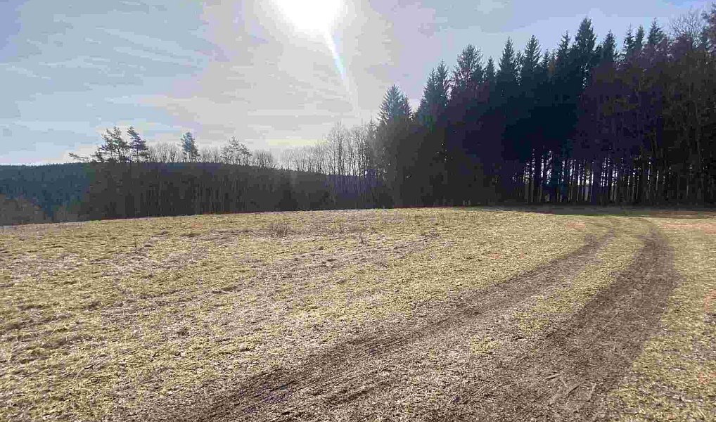 Prodej pole 3 869 m², Kraslice – náhled fotky 6