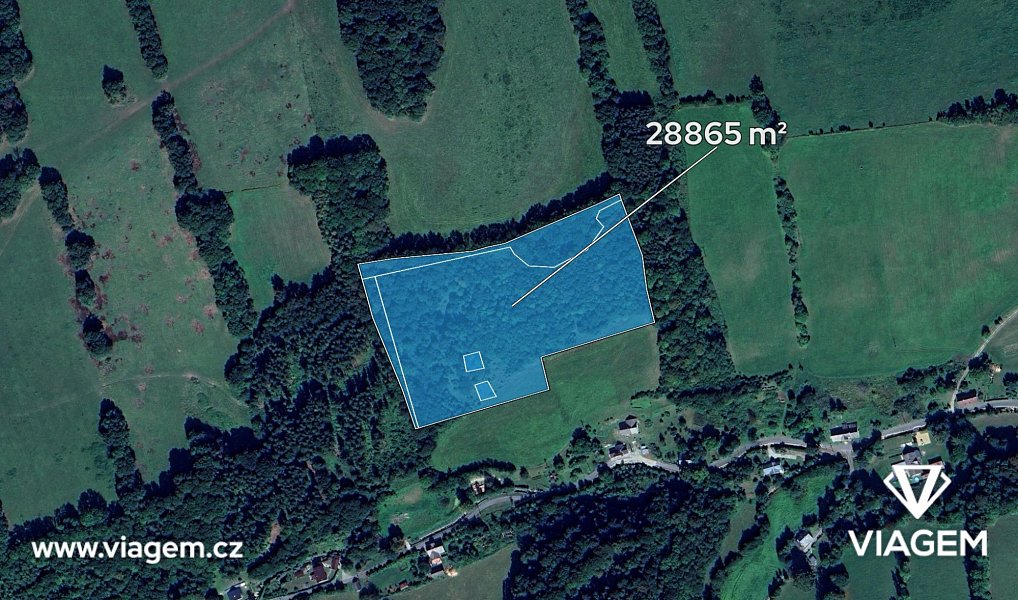 Prodej lesa 5 773 m², Skorošice – náhled fotky 2
