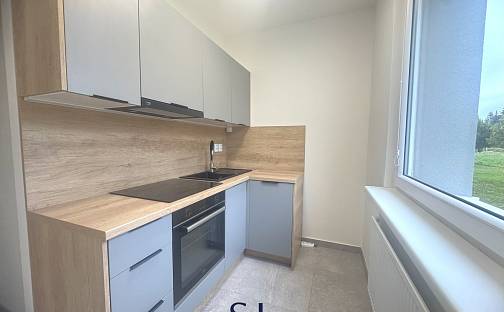 Pronájem bytu 1+1 38 m², Česká, Liberec - Liberec XXV-Vesec