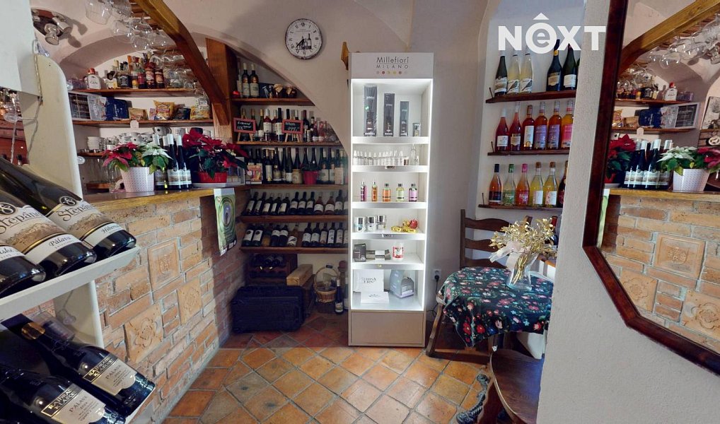 Prodej domu 296 m² s pozemkem 162 m², Kadaň – náhled fotky 12