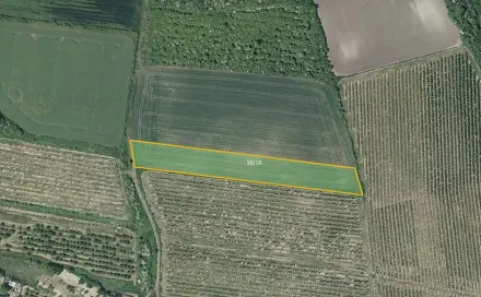 Prodej pole 7 043 m², Želkovice, okres Louny
