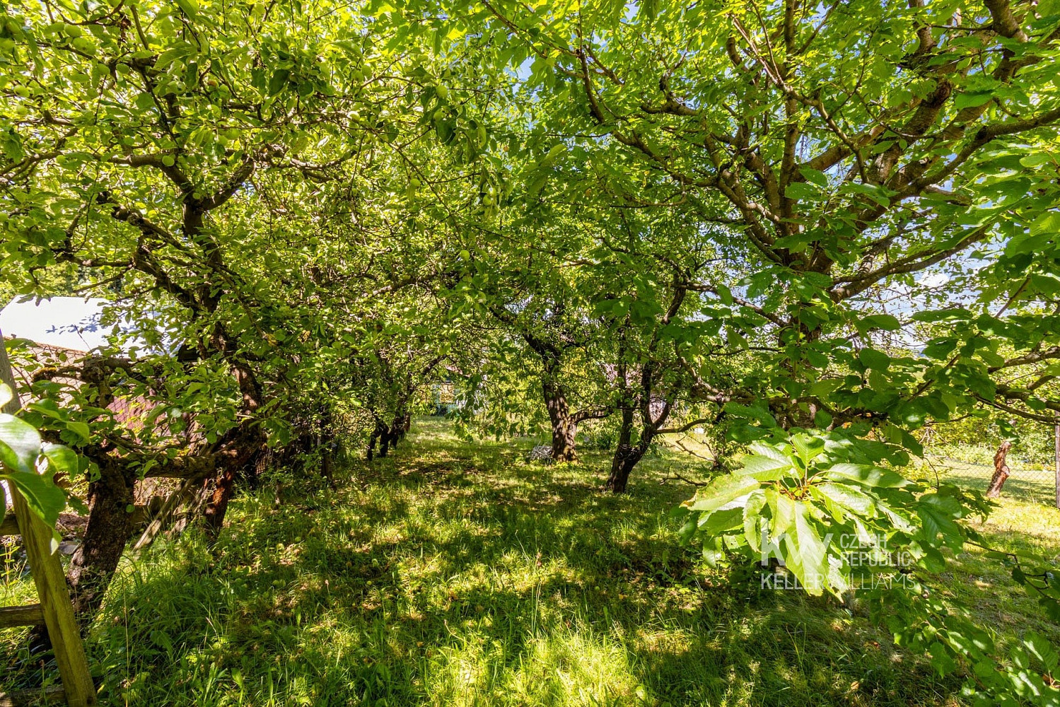 Prodej chaty/chalupy 9 m² s pozemkem 321 m² – fotografie 2