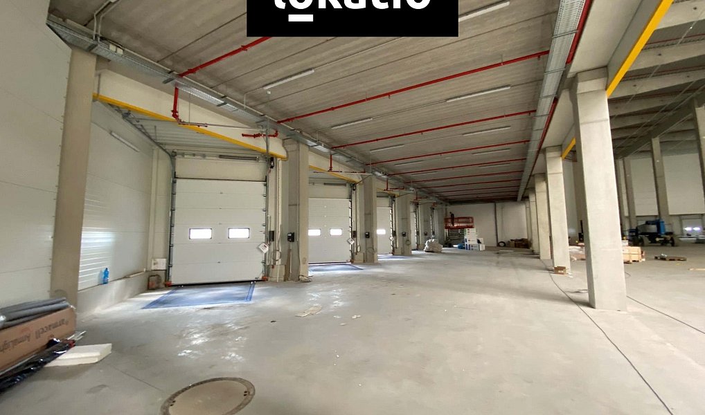 Pronájem skladovacích prostor 1 000 m², Mohelnice – náhled fotky 3