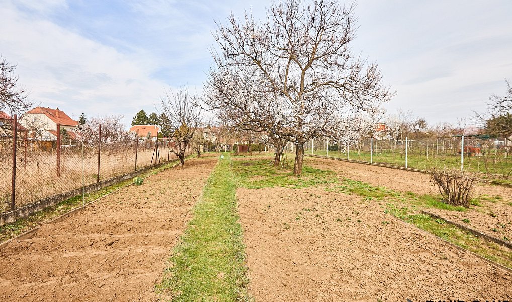 Prodej domu 232 m² s pozemkem 1 077 m², Hrušovany u Brna – náhled fotky 32