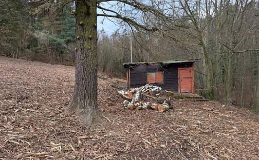 Prodej chaty/chalupy 30 m² s pozemkem 1 074 m², Nad Přehradou, Brno - Bystrc