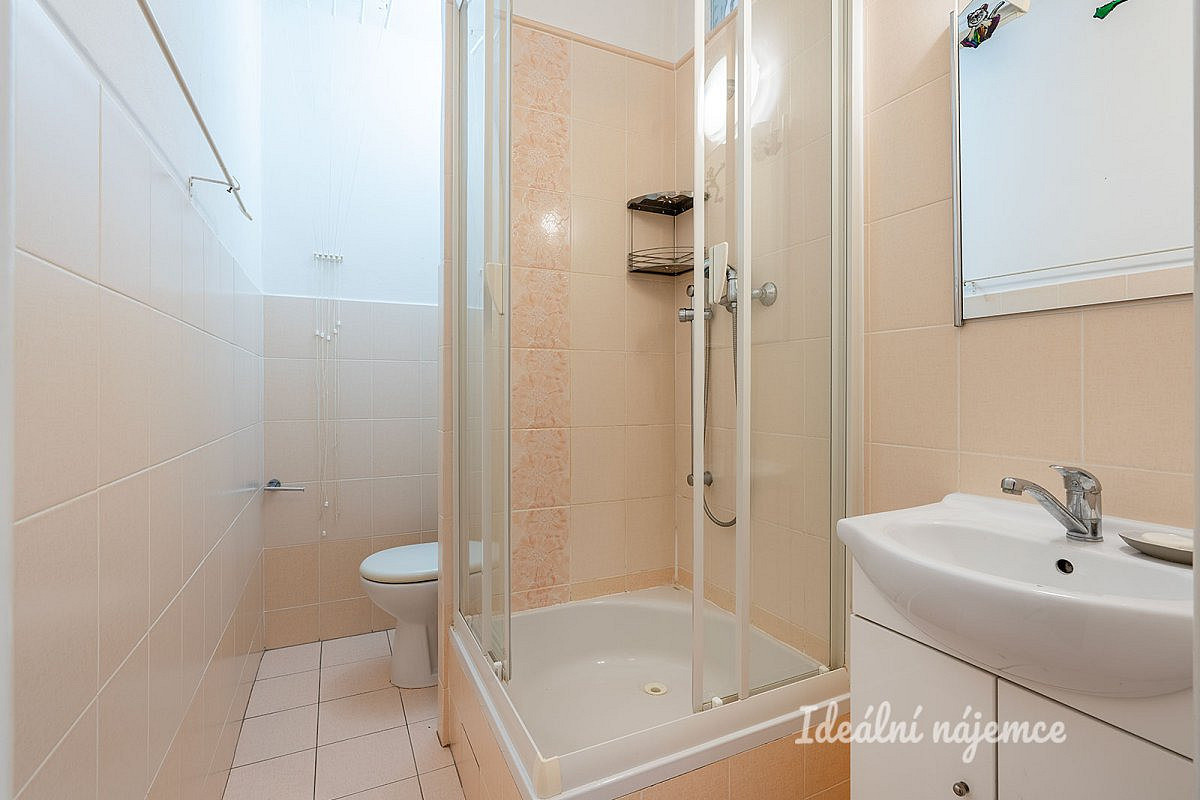 Pronájem bytu 1+1 37 m² – fotografie 5