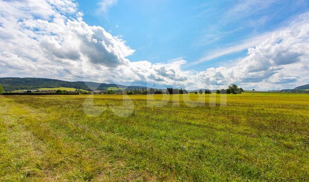Prodej stavebního pozemku 4 399 m², Nýrsko – náhled fotky 9