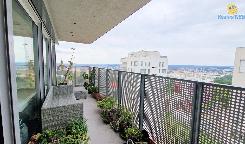 Prodej bytu 4+kk 446 m², Brno – náhled fotky 3