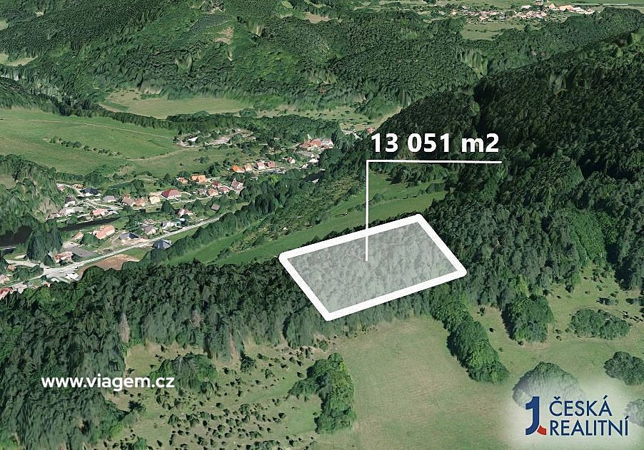 Prodej lesa 3 262 m² – fotografie 2