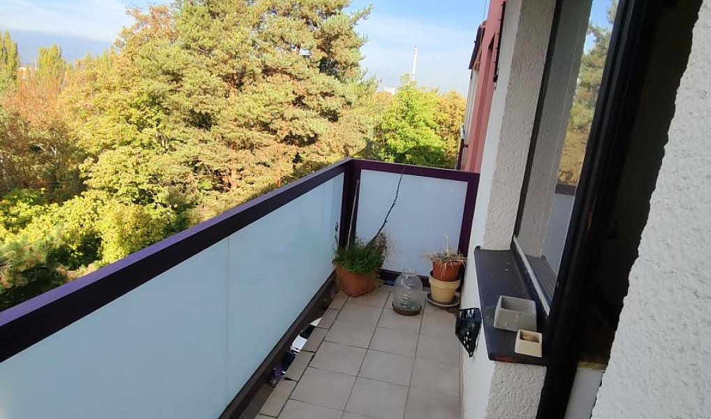 Pronájem bytu 1+1 37 m², Plzeň – náhled fotky 6