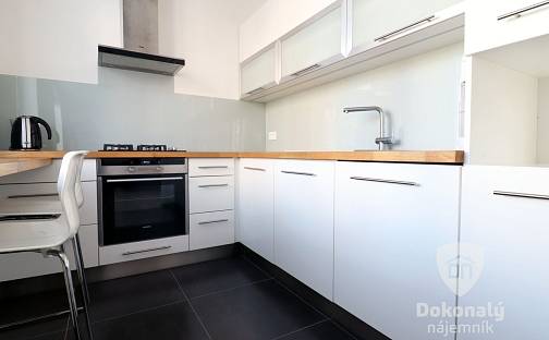 Pronájem bytu 2+kk 53 m², Pod lipami, Praha 3 - Žižkov