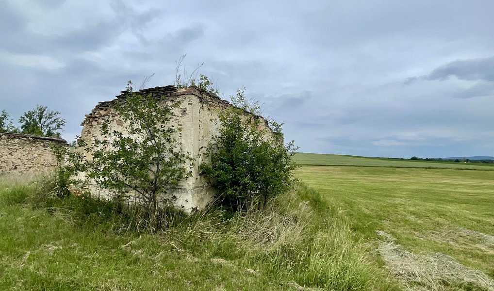 Prodej komerčního pozemku 462 m², Pleše – náhled fotky 2