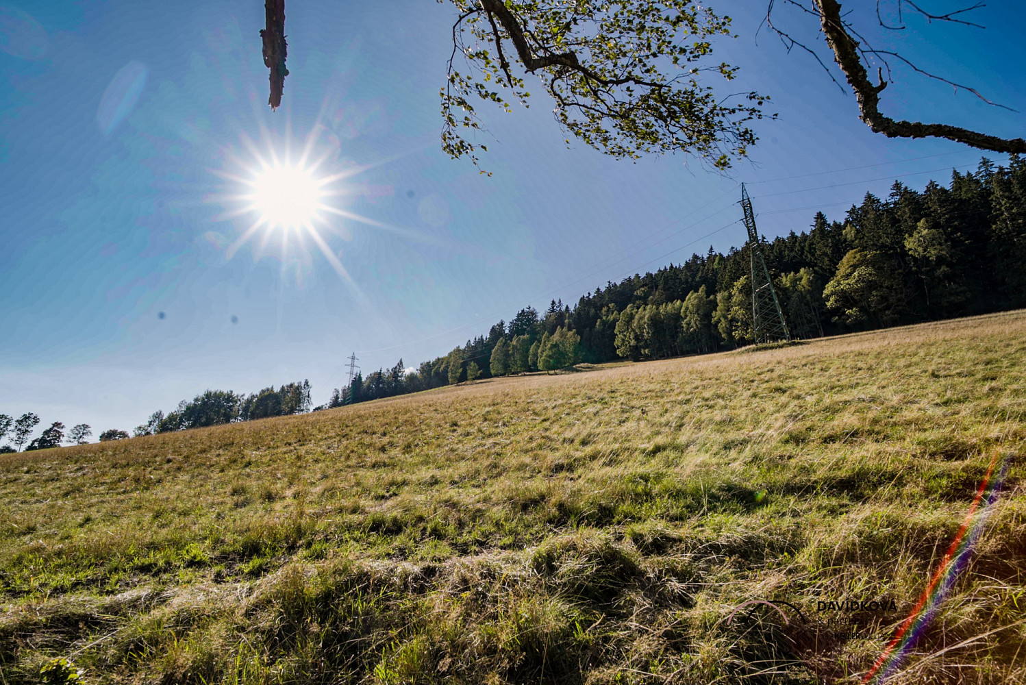 Prodej stavebního pozemku 753 m² – fotografie 3