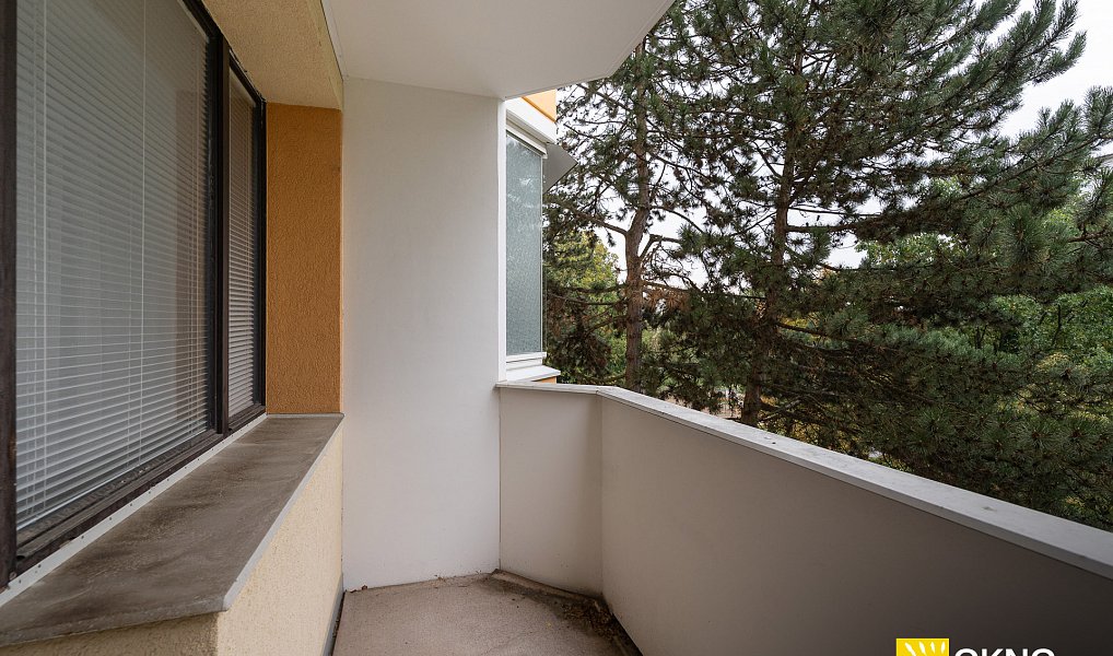 Prodej bytu 3+1 72 m², Brno – náhled fotky 4