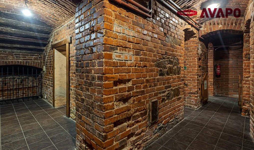 Prodej obchodních prostor 166 m², Opava – náhled fotky 13