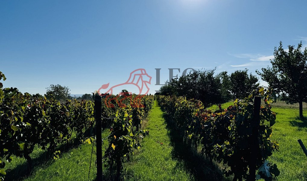 Prodej zahrady 1 237 m², Týnec – náhled fotky 4