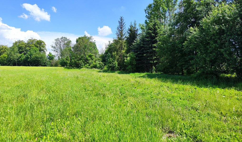 Prodej stavebního pozemku 1 655 m², Bílá Lhota – náhled fotky 9