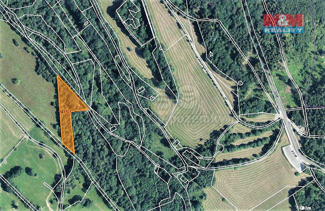 Prodej lesa 7 083 m² – fotografie 5