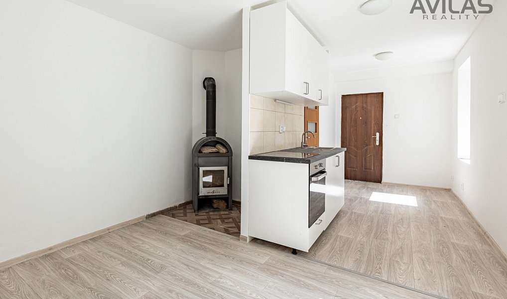 Pronájem bytu 1+kk 27 m², Zvěstov – náhled fotky 3