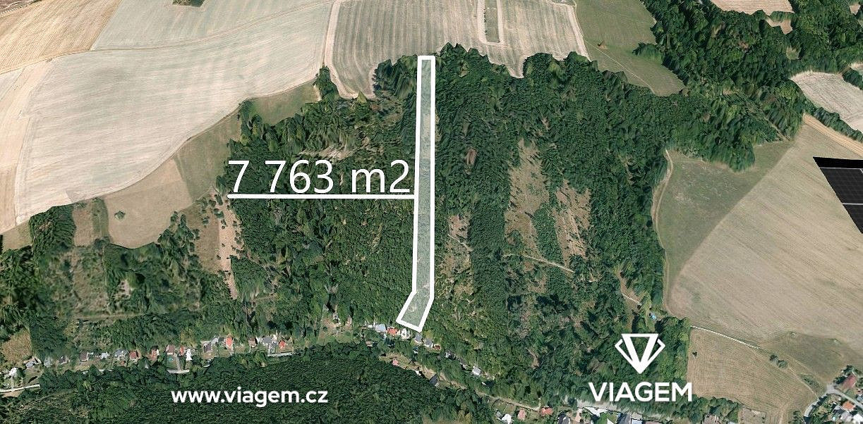 Prodej lesa 7 763 m² – fotografie 2