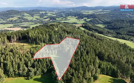 Prodej lesa 15 707 m², Petrovice u Sušice - Maršovice, okres Klatovy