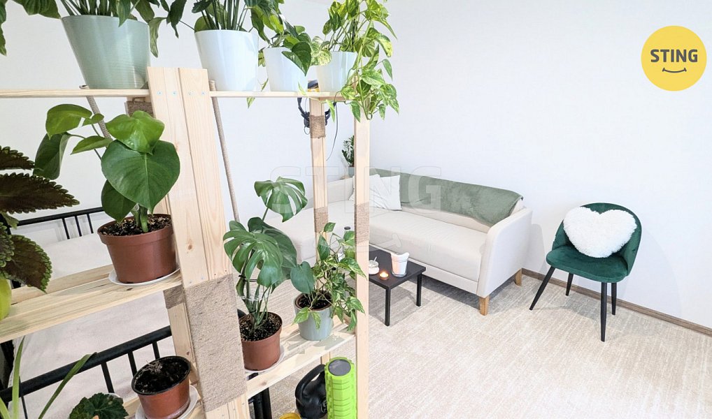 Prodej bytu 1+1 41 m², Nový Jičín – náhled fotky 6