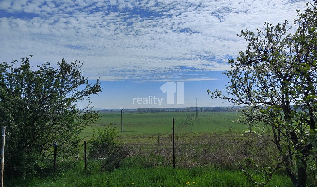 Prodej domu 206 m² s pozemkem 750 m², Křičeň – náhled fotky 38