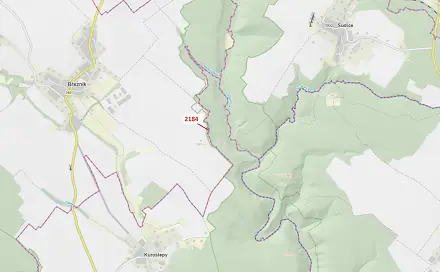 Dražba lesa 291 m², Kuroslepy