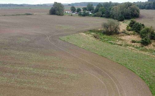 Prodej pozemku 12 366 m², Kostelec nad Černými lesy, okres Praha-východ
