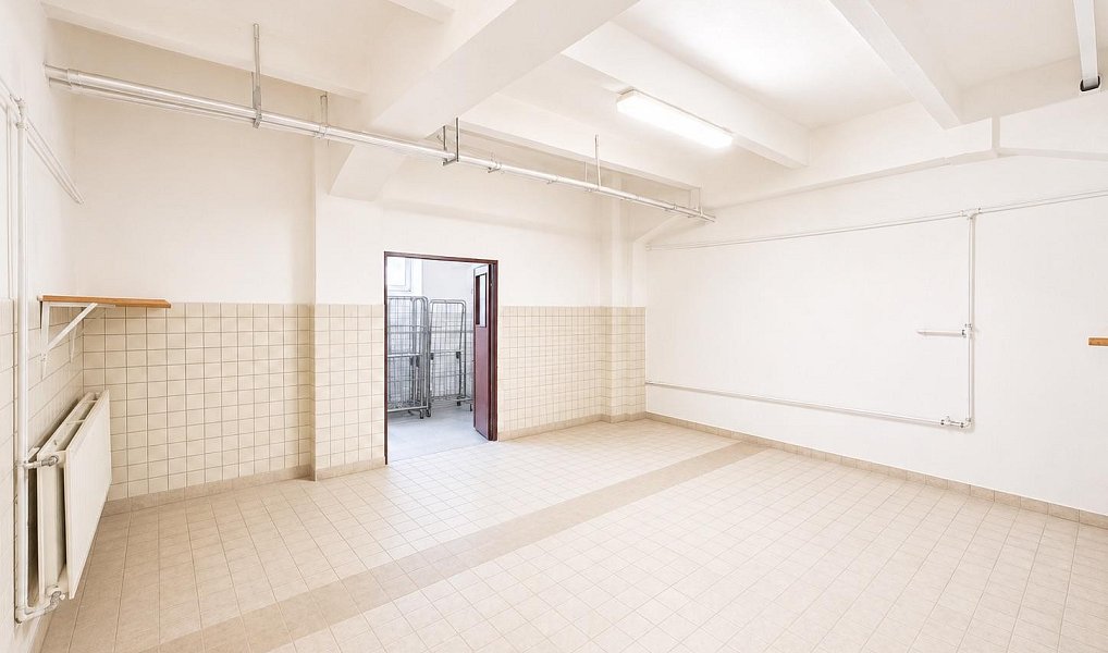 Pronájem skladovacích prostor 50 m², Strančice – náhled fotky 3