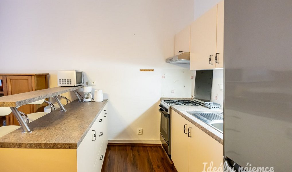 Pronájem bytu 1+kk 38 m², Praha – náhled fotky 3