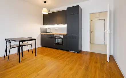 Pronájem bytu 1+kk 44 m²