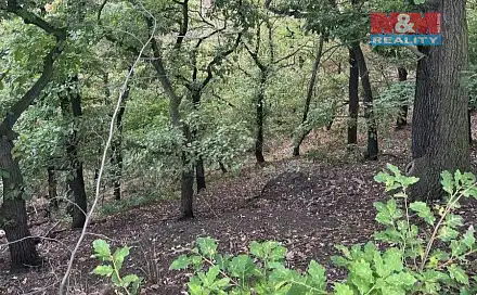 Prodej lesa 7 458 m², Bílina, okres Teplice