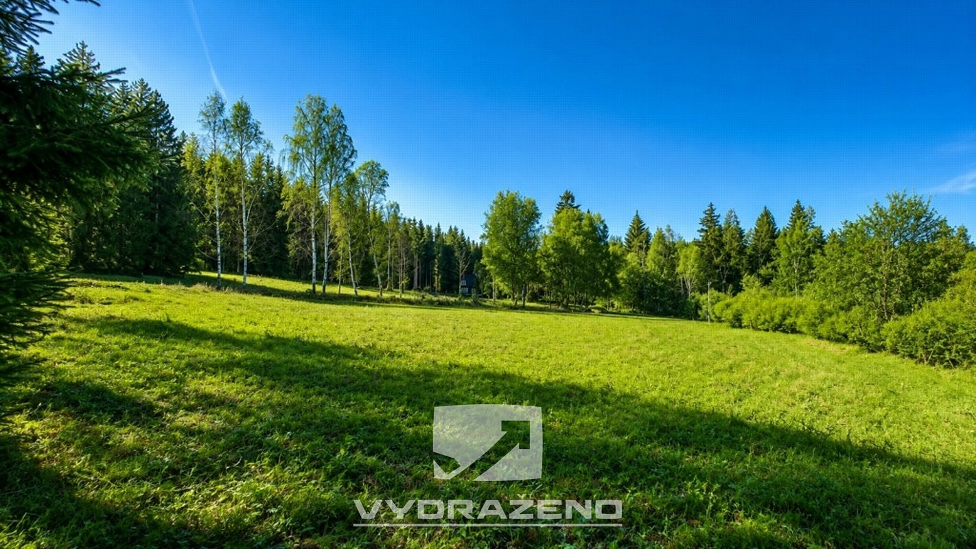 Prodej louky 6 990 m²