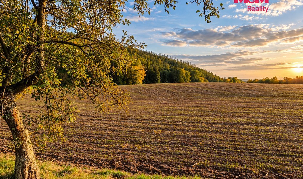 Prodej pole 5 592 m², Všechovice – náhled fotky 3
