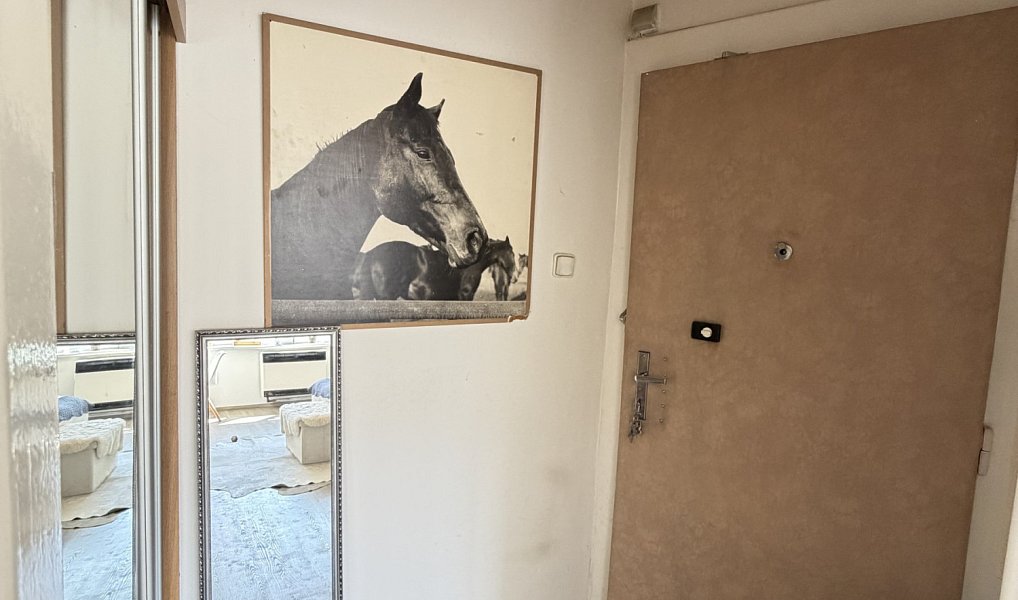 Prodej bytu 2+kk 47 m², Praha – náhled fotky 12