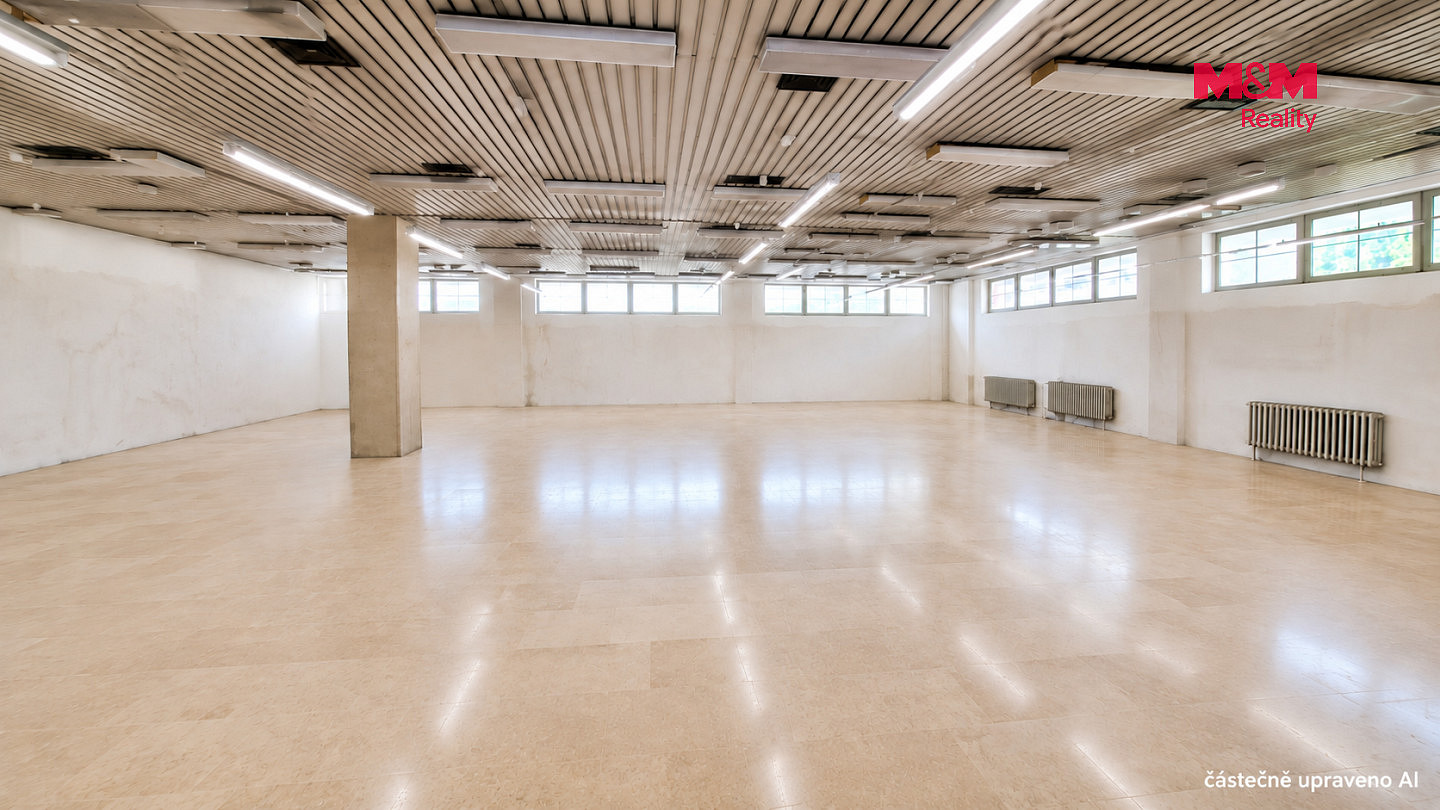 Pronájem obchodních prostor 260 m² – fotografie 5