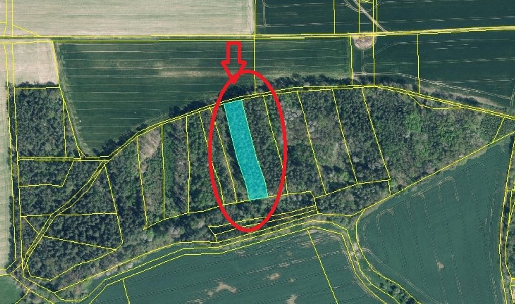 Prodej lesa 1 818 m², Kanice – náhled fotky 7