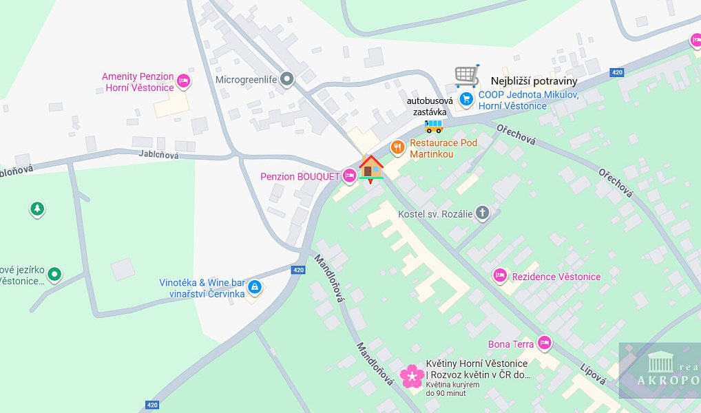 Prodej domu 135 m² s pozemkem 768 m², Horní Věstonice – náhled fotky 34