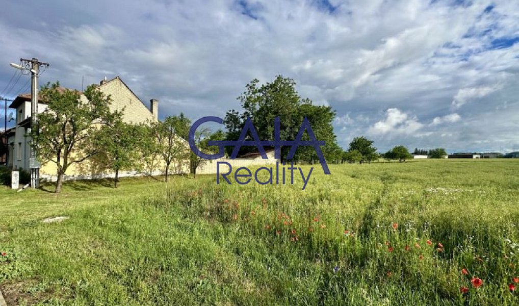 Prodej stavebního pozemku 905 m², Žeraviny – náhled fotky 2