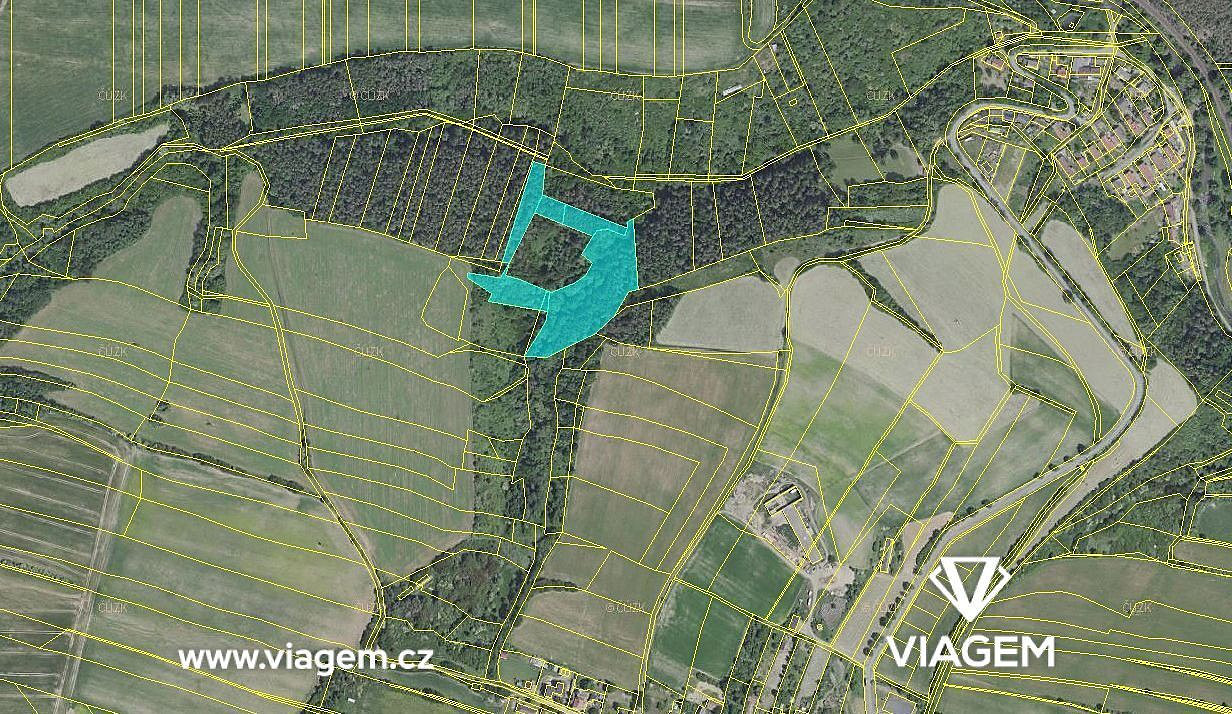 Prodej lesa 2 805 m² – fotografie 2