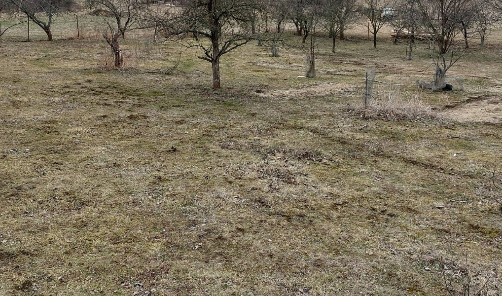 Prodej stavebního pozemku 5 184 m², Pečice – náhled fotky 10