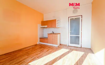 Prodej bytu 1+kk 20 m², Pod Vrchem, Plzeň - Lobzy