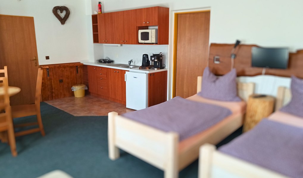 Prodej domu 202 m² s pozemkem 534 m², Černý Důl – náhled fotky 13