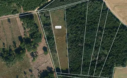 Prodej lesa 8 547 m², Stehlovice, okres Písek